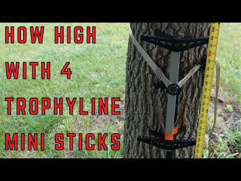 Видео: Trophy Line Mini Stick - Тест высоты НАСКОЛЬКО ВЫСОКО???