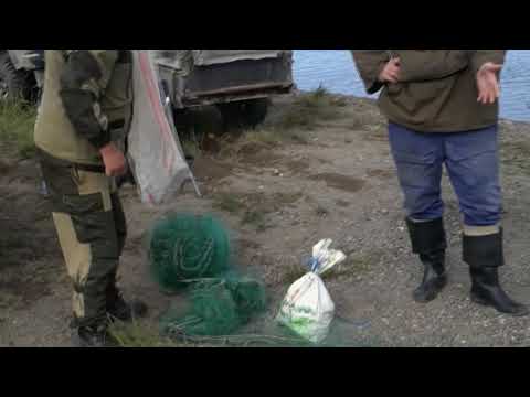 Видео: Беспредел К.М.Н.С