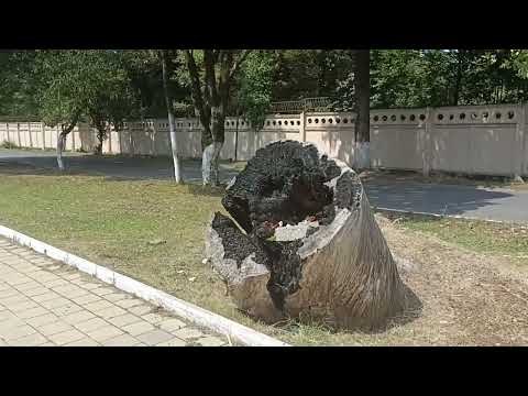 Видео: #Агудзера, #пляж, #Абхазия, #август2025