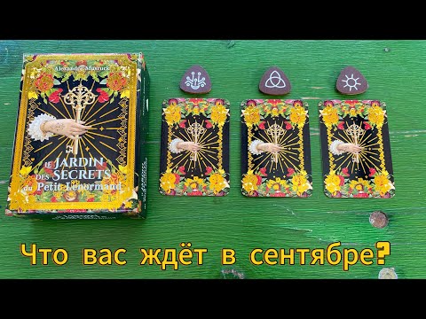 Видео: ЧТО ВАС ЖДЁТ В СЕНТЯБРЕ? 💯 гадание на Ленорман Lenormand Reading