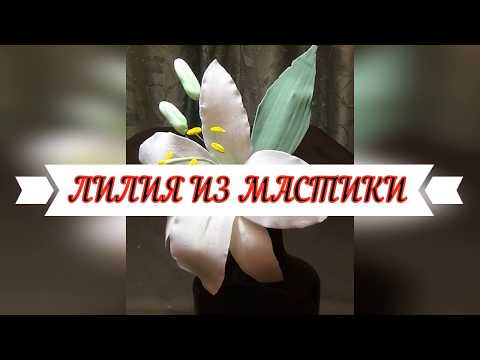 Видео: ЛИЛИЯ ИЗ МАСТИКИ