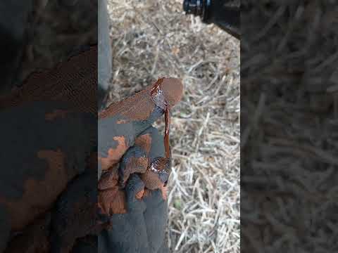 Видео: заглох трактор,не йде дизель. ..