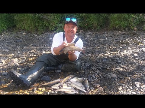 Видео: Рыбалка на Хариуса Северный Урал Г.У.Х. сплав по горной реке.
