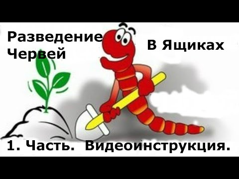 Видео: 1. Разведение червей в ящиках в домашних условиях. Видеоинструкция разведение червей.