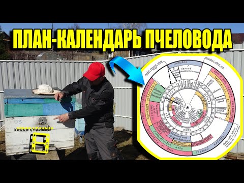 Видео: КЛЮЧЕВЫЕ МОМЕНТЫ НА ПАСЕКЕ ВЕСНОЙ. КАЛЕНДАРЬ ПЧЕЛОВОДА. ДЛЯ НАЧИНАЮЩИХ ПЧЕЛОВОДОВ 6-21