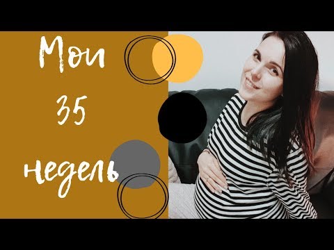 Видео: Мои 35 недель | Обо всем и  геле для душа