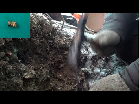 Видео: Раскопал старый отвал!!! Вот оно ЗОЛОТО!!!