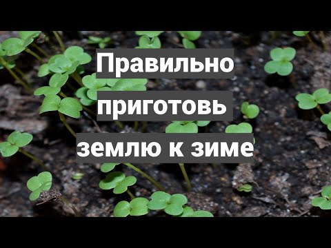 Видео: Готовим землю с осени, микробы и грибы должны перезимовать вместе