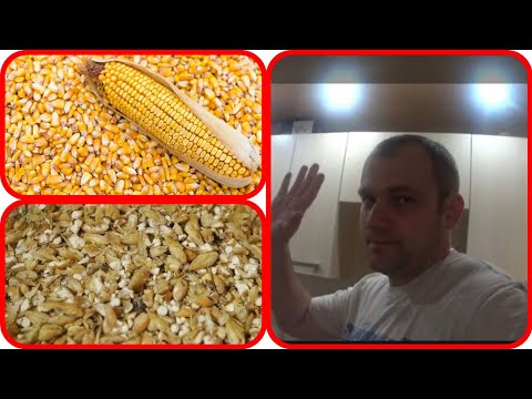 Видео: КАК СДЕЛАТЬ НАСТОЯЩИЙ БУРБОН ИЗ ЗЕРНА, ОТ А ДО Я ПО БЕЛОЙ СХЕМЕ+ ТЕСТ ММЦ! ПОГНАЛИ!