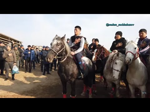 Видео: Алги Мейрамбек палуанды еске алуга арналган кокпар асы 12 12 2021 Шардара ауданы Шардара ауылы