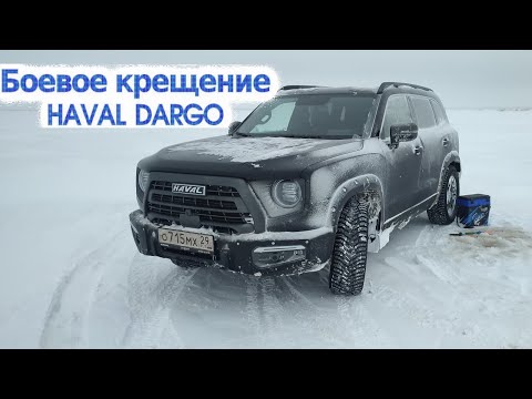 Видео: Дарго рулит по Белому морю (рыбалка под о. Кумбыш)