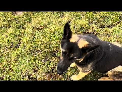 Видео: Потеряли коптер на плато Канжол