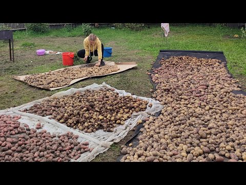 Видео: Пора вернуться на канал))