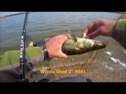 Видео: Xesta Black Star s83 vs Судак (на платнике).