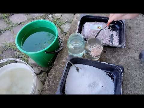 Видео: Подкормка для малины.Малина ремонтантная.