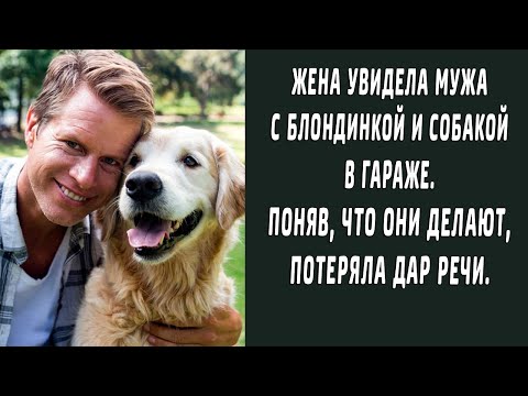 Видео: Женщина нашла тайную комнату в гараже мужа и потеряла дар речи. Муж пытался все отрицать...