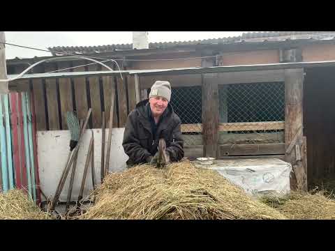 Видео: Продолжение банкета😂