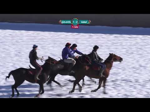 Видео: Көк бөрү / Кара-Буура - Жайыл