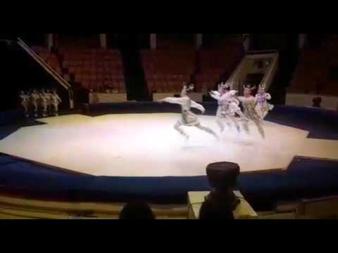 Видео: Танец 《Олени》 ансамбль 《Сирь Семэхэ》