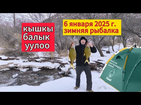 Видео: Балык кармап жатсам 🐺 келди. #охотарыбалка #итбазар #малбазар #жаймабазар #тоокбазар #кыргызстан