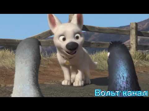 Видео: Вольт и Варежка клип Наедине (заказ)