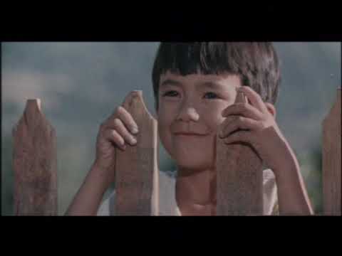 Видео: Х/ф «Алпамыс идет в школу» (реж.: А. Карсакбаев, 1977 г.)