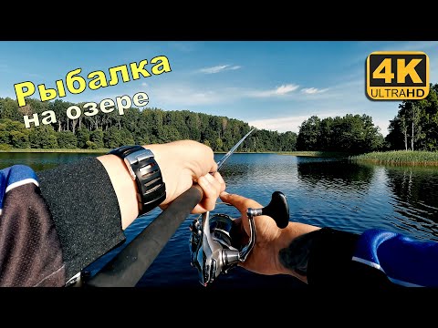 Видео: Рыбалка на озере. Ловля на спиннинг летом 2022 года
