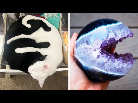 Видео: Фото, которые тебя удивят (часть 108)