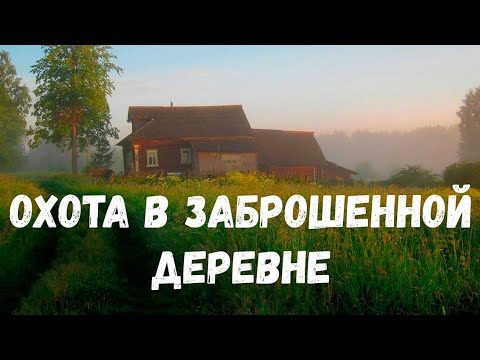 Видео: Охота в заброшенной деревне. Страшная история.