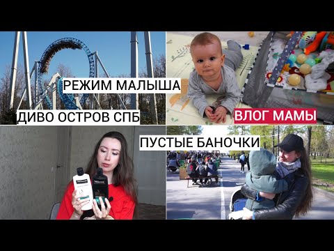 Видео: НЕ СИДИТ В 9 МЕСЯЦЕВ? ГОТОВЛЮ ВКУСНЫЕ ГРЕНКИ, ПРОГУЛКА НА КРЕСТОВСКОМ