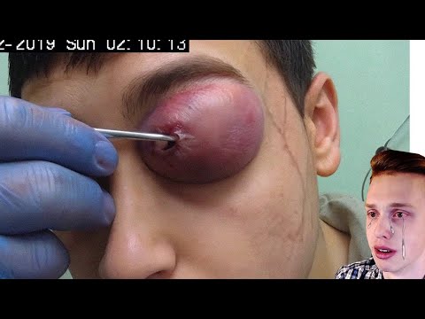 Видео: 1 час Попробуй не скажи ОЙ! / РЕАКЦИЯ на САМОЕ НЕ ПРИЯТНОЕ ВИДЕО в МИРЕ