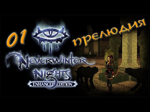 Видео: NWN Enhanced Edition #1 «Кошатница»