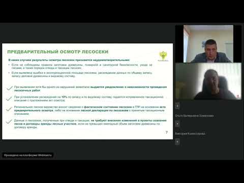 Видео: Лесное хозяйство 18 июля 2023