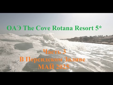 Видео: ОАЭ The Cove Rotana Resort 5* Часть 3 В Персидском Заливе МАЙ 2025
