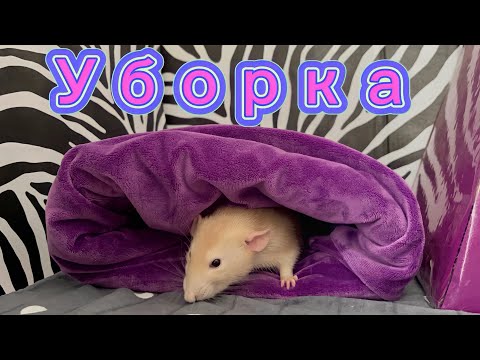 Видео: Это последнее видео на канале 🎥