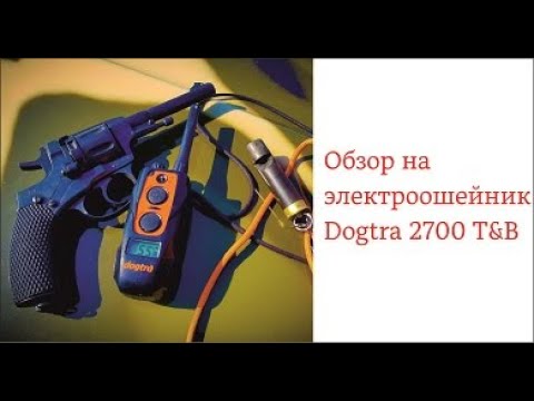 Видео: Обзор на электроошейник Dogtra 2700 T&B