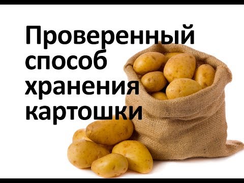 Видео: Картошка хранится долго и не портится