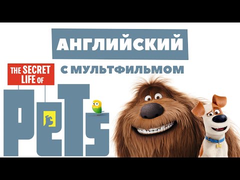 Видео: РАЗГОВОРНЫЙ АНГЛИЙСКИЙ с мультфильмом ТАЙНАЯ ЖИЗНЬ ДОМАШНИХ ЖИВОТНЫХ | Grammar.licious