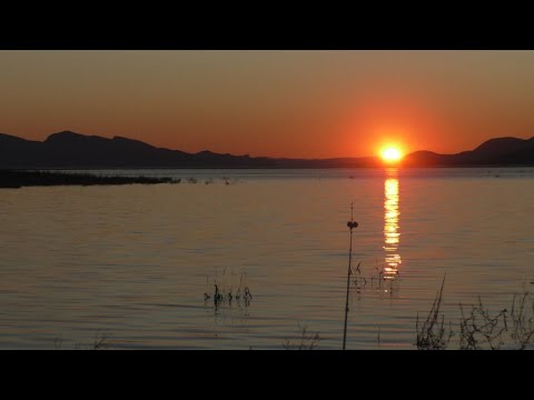 Видео: Рыбалка  на Красноярском водохранилище. Усть Абакан лето 2025 года часть -12