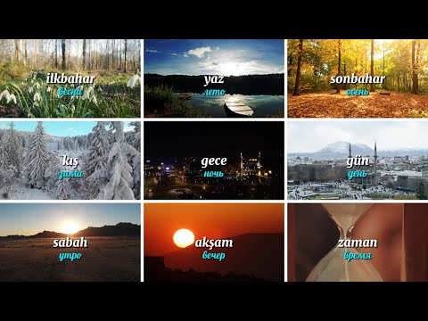 Видео: Турецкий cловарный запас 🇹🇷 (часть 4) | Видеословарь. Учим 10 турецких слов за 1 минуту.