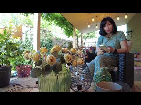 Видео: ЮЖНЫЙ ЭКЗОТИЧЕСКИЙ САД В ИЮНЕ / Когда подрезать, сажать ОТВЕЧАЮ НА ВОПРОСЫ