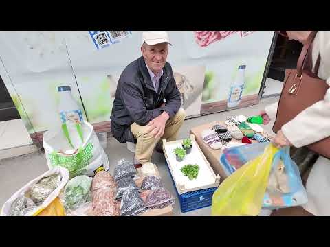 Видео: Сараево (Босния и Герциговина) Sarajevo (Bosnia i Herzigovina)