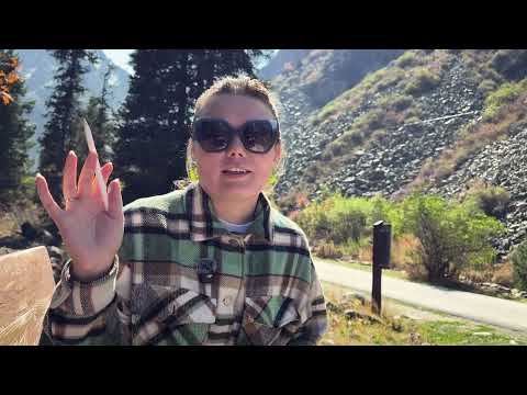 Видео: МЕНЯ ОСЕНИЛО! | психолог об устройстве мира