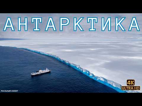 Видео: Антарктика. Тайна жизни льда! | Реальный сюжет | Документальный фильм о дикой природе |