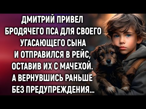 Видео: «Он думал, что оставил сына умирать. Но пёс сделал невозможное»