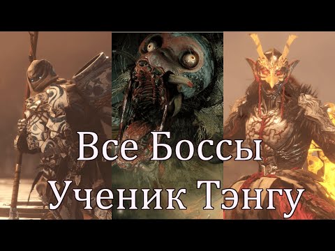 Видео: Все Боссы Nioh2: Ученик Тэнгу от худшего к лучшему