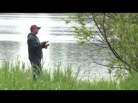 Видео: С микроджигом по дачным прудикам HD. Ловля окуня на микроджиг, мормыхинг.