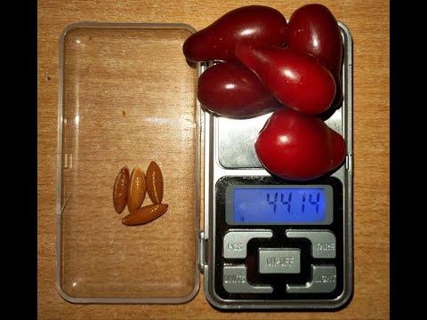 Видео: Ситуація в саду на кінець серпня. Cад біля хати з мінімальним доглядом