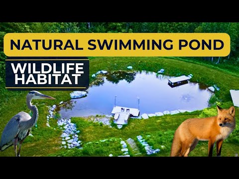 Видео: Создание рая на участке площадью 5 акров или меньше — децентрализованное водоудержание для устойч...