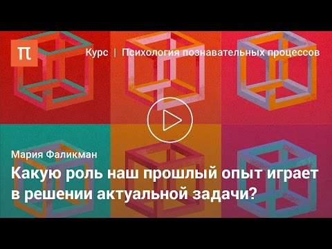 Видео: Мышление как решение задач — Мария Фаликман